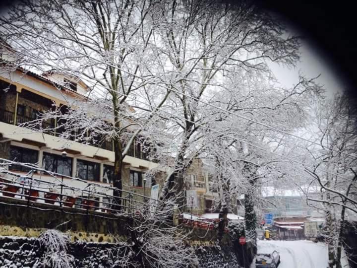 Mountain Rose Garden Hotel&Restaurant Pedhoulas Exterior foto